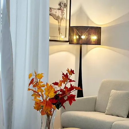 Charming 1-bedroom In Prestigious 16th Arrondissement *